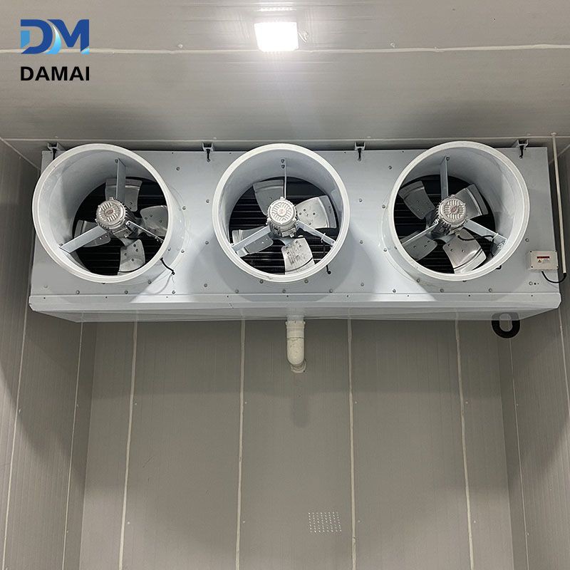 product-800-800